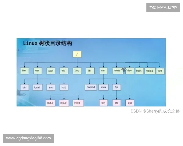 斯坦福桥所属组织全面解析与详细介绍